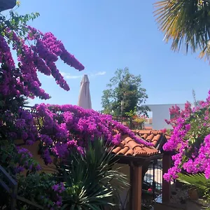 Ana Apartment